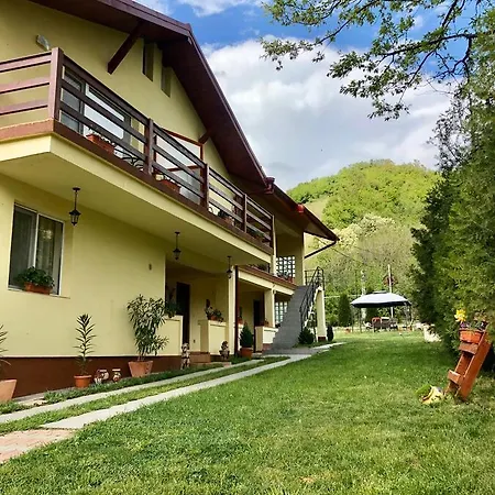 別荘 Casa De Vacanta Daniel